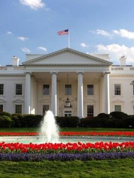 البيت الأبيض 
