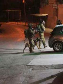 jewish-soldiers-night-time-raid-abbas-momani-afp-getty-800