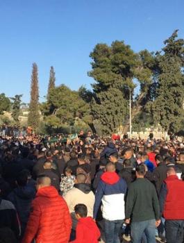 84646649_4288060017903052_6080209773007994880_o