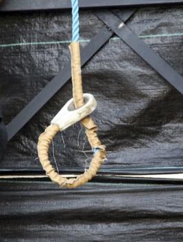 قاتل الطفل  أحمد موسى فرج الله 