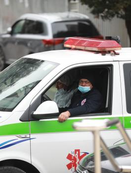 شفاء مصابين بفيروس كورونا في فلسطين 