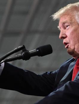 ترامب والفلسطينيين 