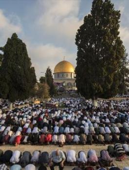 thumbs_b_c_17be1bc4c864e5f474b615b546fb7746