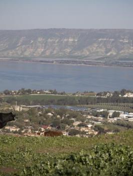 هزة ارضية تضرب طبريا 