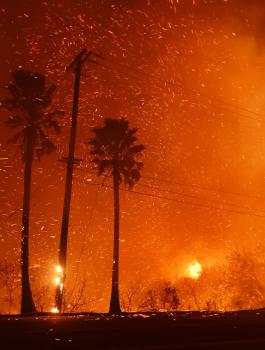 حرائق كاليفورنيا والغابات 