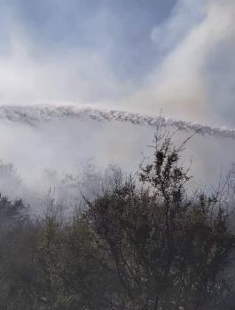 الدفاع المدني الفلسطيني 