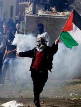 jyngp