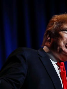 5ce1c11495a5978e4f8b45d1