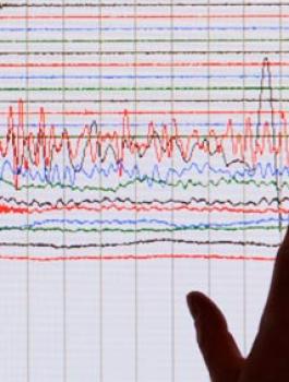 زلزال يضرب الاردن وفلسطين