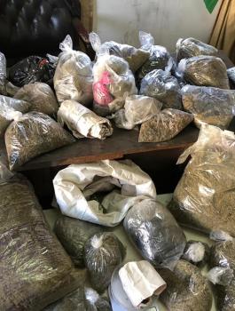 ضبط مخدرات في الخليل 