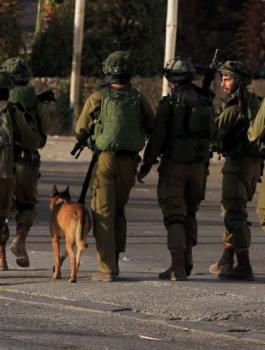 منفذ عملية بركان 