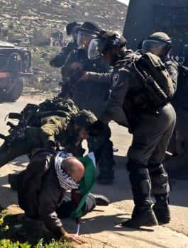 اصابات في مواجهات بالضفة الغريبة 