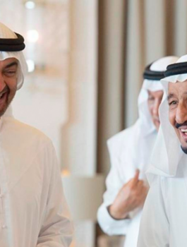 الامارات والسعودية وتركيا 