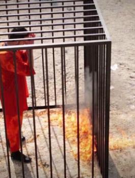 0bc6dbb8-081b-45a0-894a-3f8f837de9b3_16x9_600x338