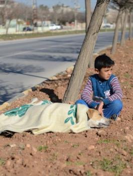 20170220_2_21958982_19095388_Web