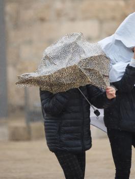 الامطار في شهر حزيران بفلسطين 