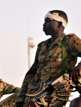 الجالية الفلسطينية في السودان 