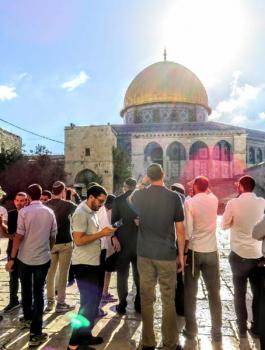 اقتحام المسجد الأقصى 