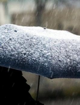 منخفض جوي قادم 