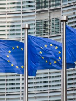 دعم اوروبي للاسر الفقيرة في فلسطين 