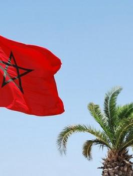 05b0f20687c7bfb52c0e55c2329727b6