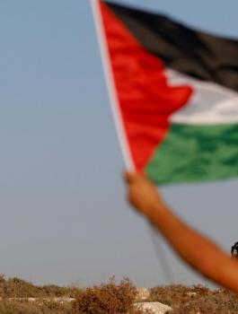 الامم المتحدة وفلسطين 