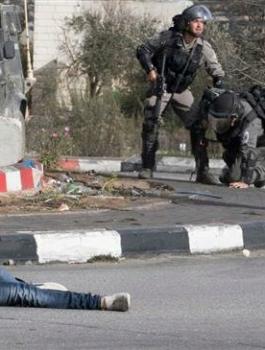 الشهداء الفلسطينيين العام 2019 