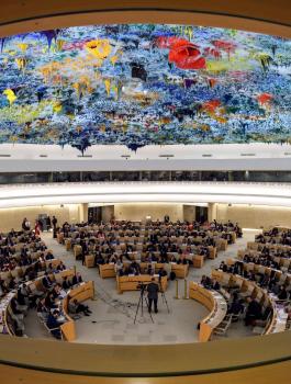 مجلس حقوق الانسان 