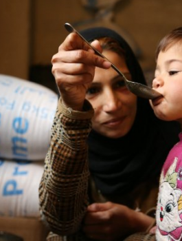 مساعدات للسوريين 