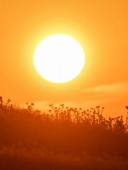 حالة الطقس في فلسطين 