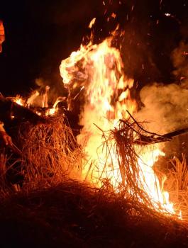 حرقها خطيبها في بث مباشر 