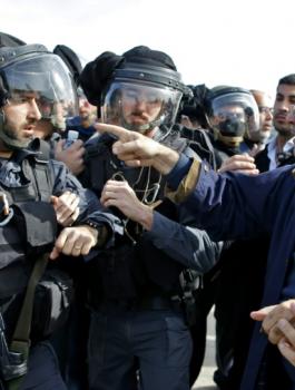 النواب العرب 