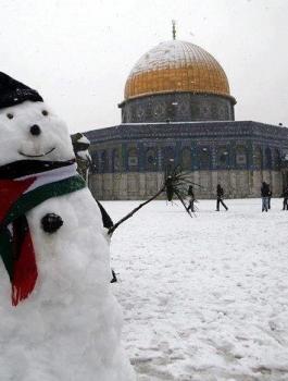 تساقط الثلوج في فلسطين 