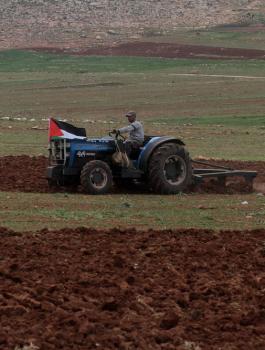 الجفاف في فلسطين 