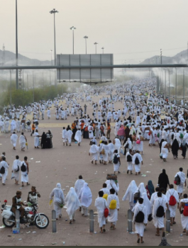 ضيوف الرحمن ينفرون من عرفات