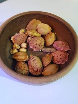 بذور الخوخ والقرع 