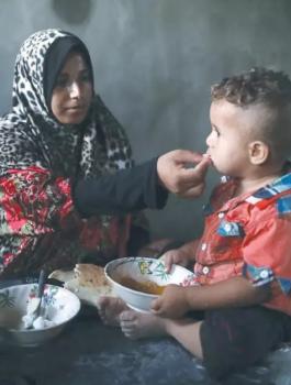 المساعدات في غزة 