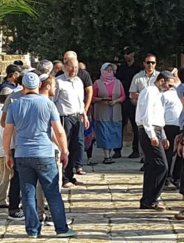 4fabedf2-68c9-477f-81cf-2f88cff8f7a4