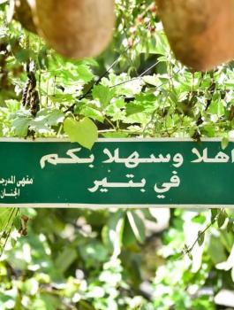 بتير والاستيطان 