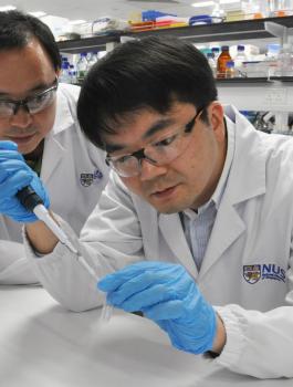 علاج مرض السرطان 