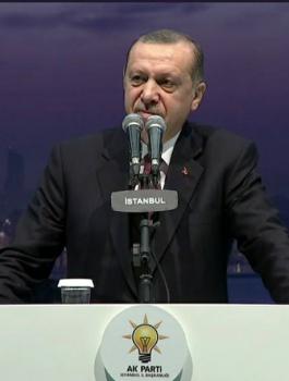 اردوغان وقطر 