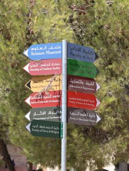 الجامعات الفلسطينية 