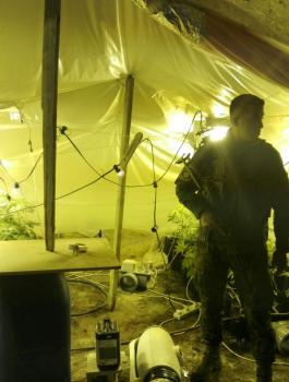 ضبط مستنبت للمخدرات في الظاهرية بالخليل 