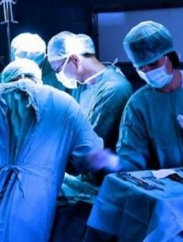 elbashayer_image_1438535248