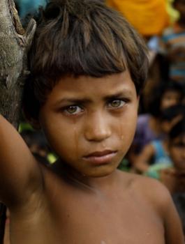 مصر ومسلمي الروهينغا 