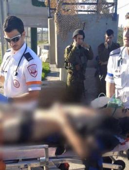 12670176_974400489301058_2997987036152485219_n