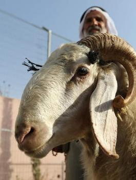 116423491_4325073977567009_4710173199755782599_n