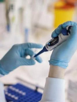 2020_7_20_7_40_39_745