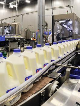 صورة-خط-إنتاج-الأجبان-والألبان-1