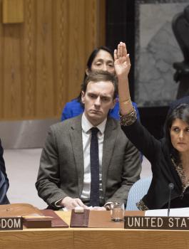 فلسطين تطالب مجلس الأمن بإلغاء الفيتو الأميركي